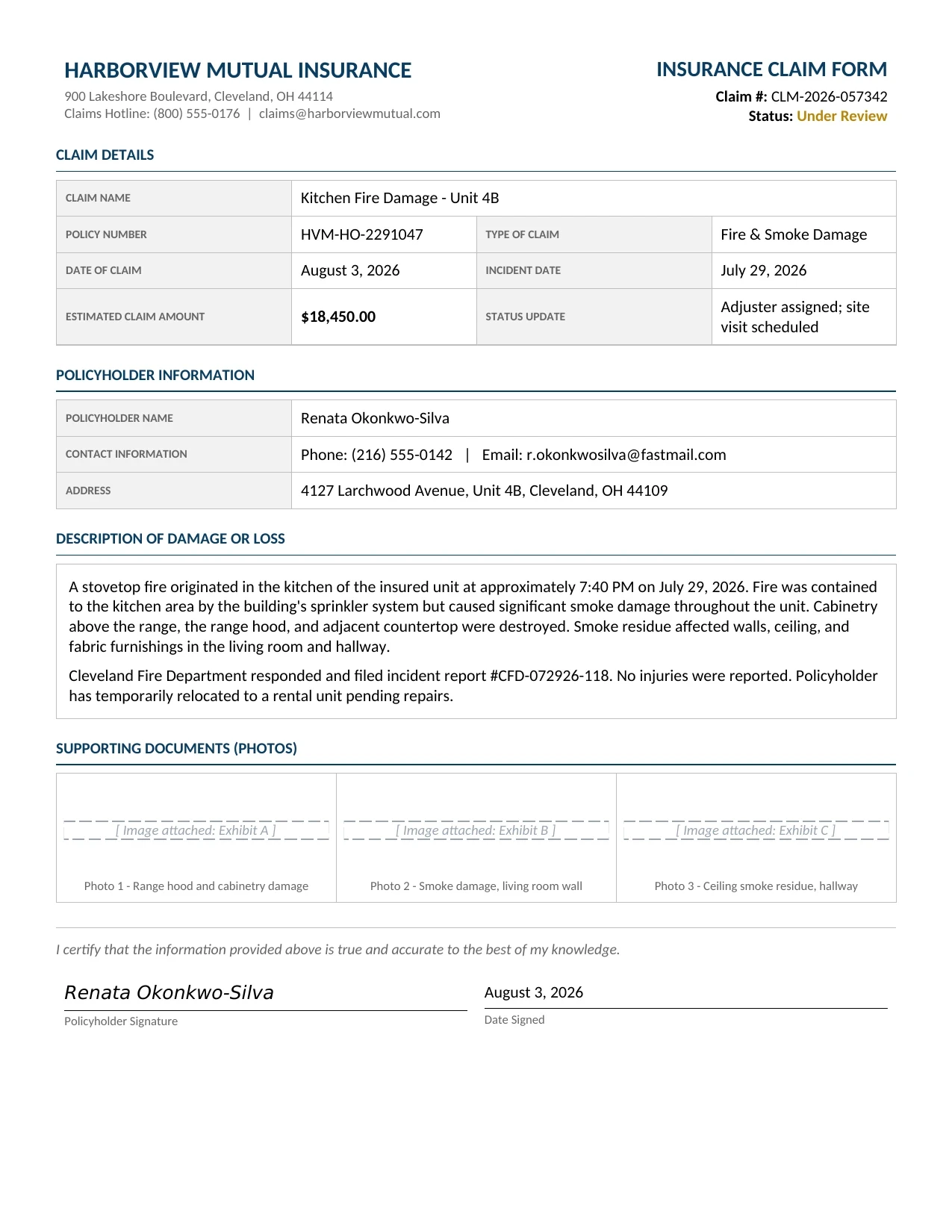 Sample Insurance Claims document